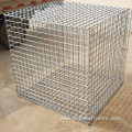 Professional Hot Dipped Galvanized Gabion Basket Mesh